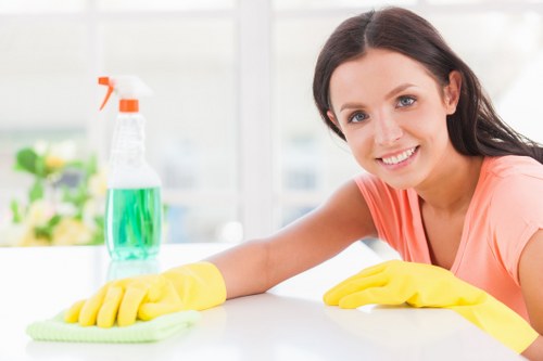 West Hampstead Cleaner pricing overview with waste removal team