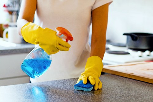Local cleaners working in a Westhampstead flat