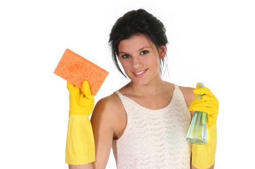 Cleaner treating carpet fibres with hot water extraction in a local Westhampstead property