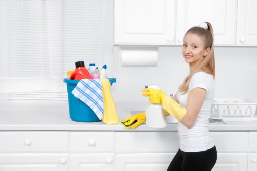 Detailed kitchen and bathroom deep cleaning in Westhampstead
