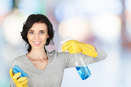 Carpet cleaning for rental properties and offices near West Hampstead