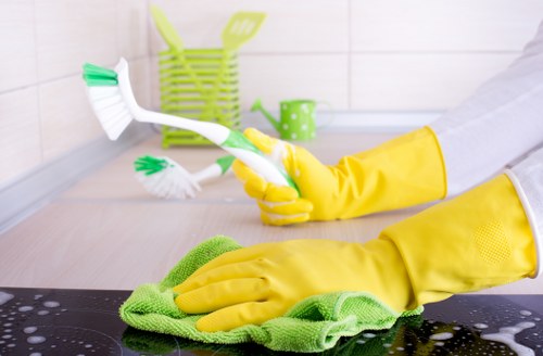 Deep cleaning for pet odours in a Westhampstead flat