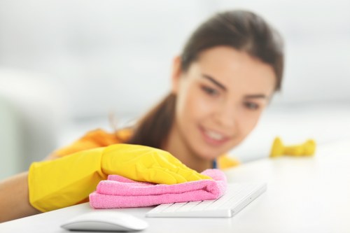Safe and efficient gutter cleaning near Westhampstead streets