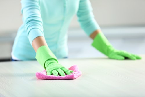 Low-carbon van used for sustainable cleaning services