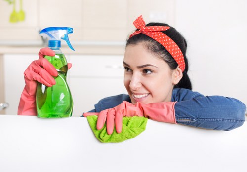 Local cleaner working in a Westhampstead flat with practical access