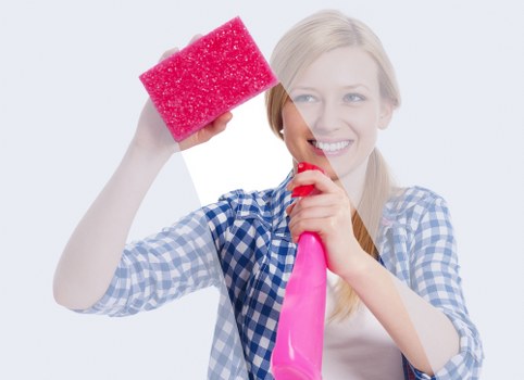 Upholstery and fabric stain removal after pet accidents in Westhampstead