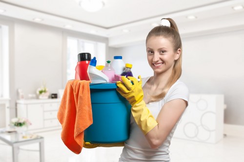 Professional cleaning tasks in a Westhampstead kitchen and bathroom