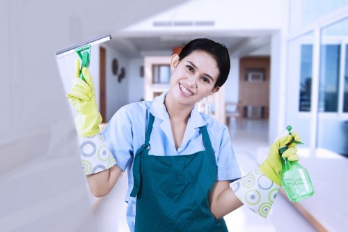 Local mattress cleaning for a rental or family property