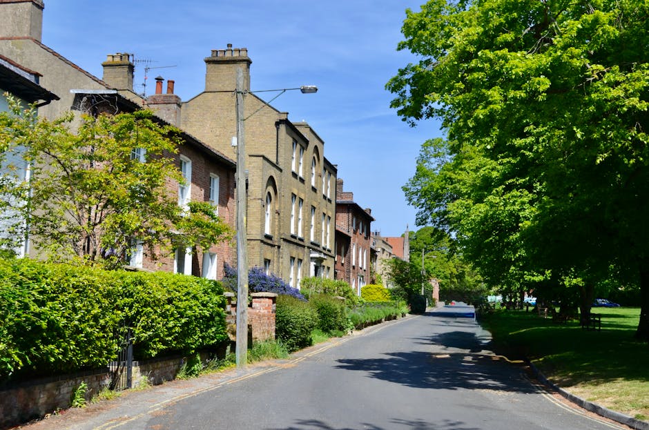 A quiet residential street in West Hampstead featuring a row of traditional brick houses with large windows and decorative architectural details, set along a paved lane with neatly maintained front gardens bordered by low brick walls and lush green bushes and trees. The street is bathed in natural daylight with vibrant green foliage providing ample shade, and a lamppost stands prominently in the foreground. The scene emphasizes a clean, well-maintained neighborhood environment as might be maintained by West Hampstead Cleaner for domestic cleaning services.