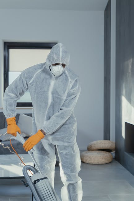 A person using a yellow and black vacuum cleaner to perform surface cleaning on a patterned area rug in a home setting. The individual is kneeling on the carpet, holding a cleaning cloth in one hand and operating the vacuum with the other. The scene highlights the process of deep cleaning and stain removal, with visible parts of the wooden floor and textured rug, under natural lighting. This image represents domestic cleaning services provided by West Hampstead Cleaner, emphasizing comprehensive hygiene and maintenance of textiles and surfaces within a residential environment.